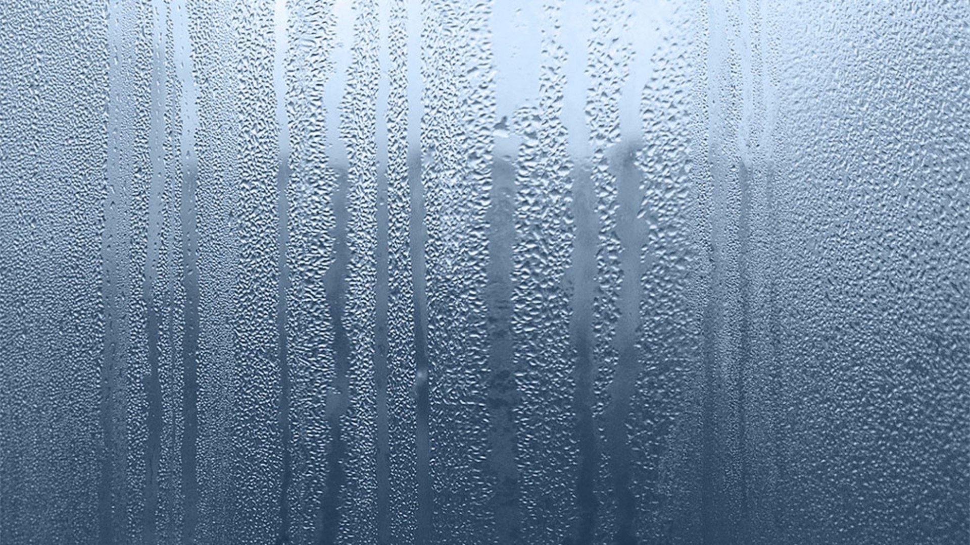 condensation Wallpaper