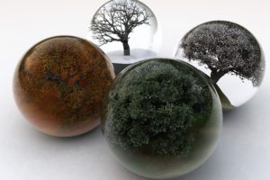 sphere, Trees, Photoshop