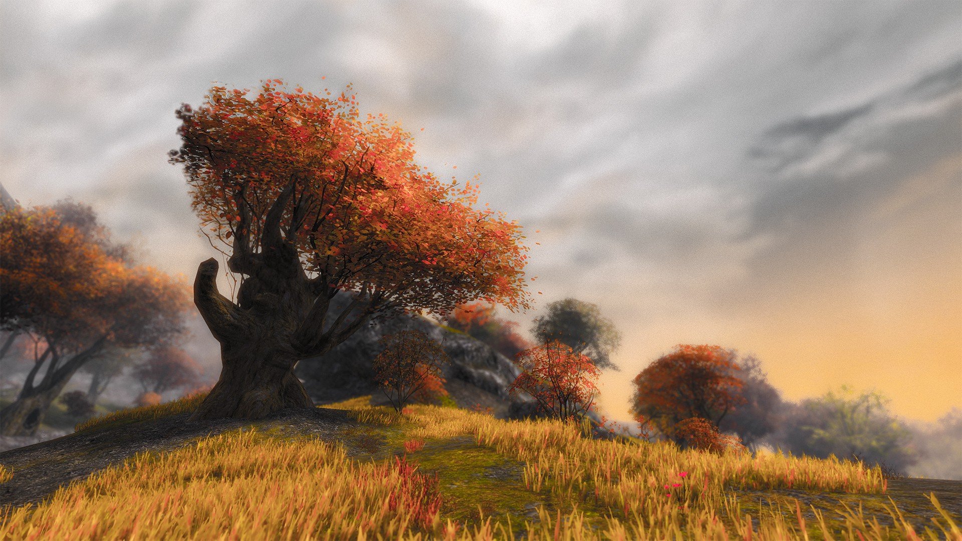 orange tree, Guildwars 2, Screen shot Wallpaper