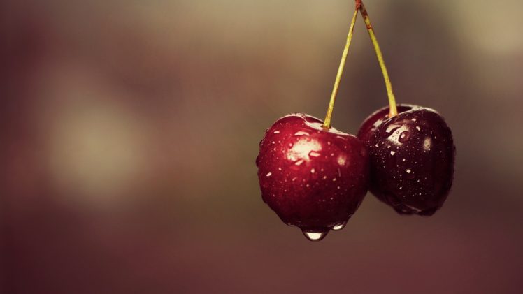macro, Cherries, Water drops HD Wallpaper Desktop Background