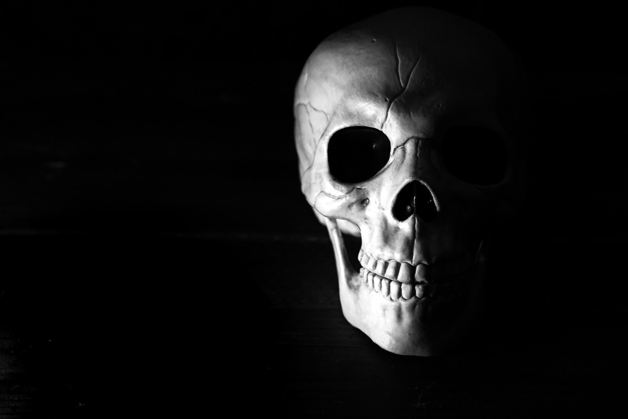 Skull HD Wallpapers Desktop And Mobile Images Photos   452667 Skull 