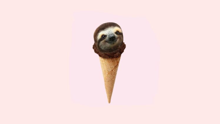 simple background, Ice cream, Minimalism, Chocolate, Sloths, Humor HD Wallpaper Desktop Background