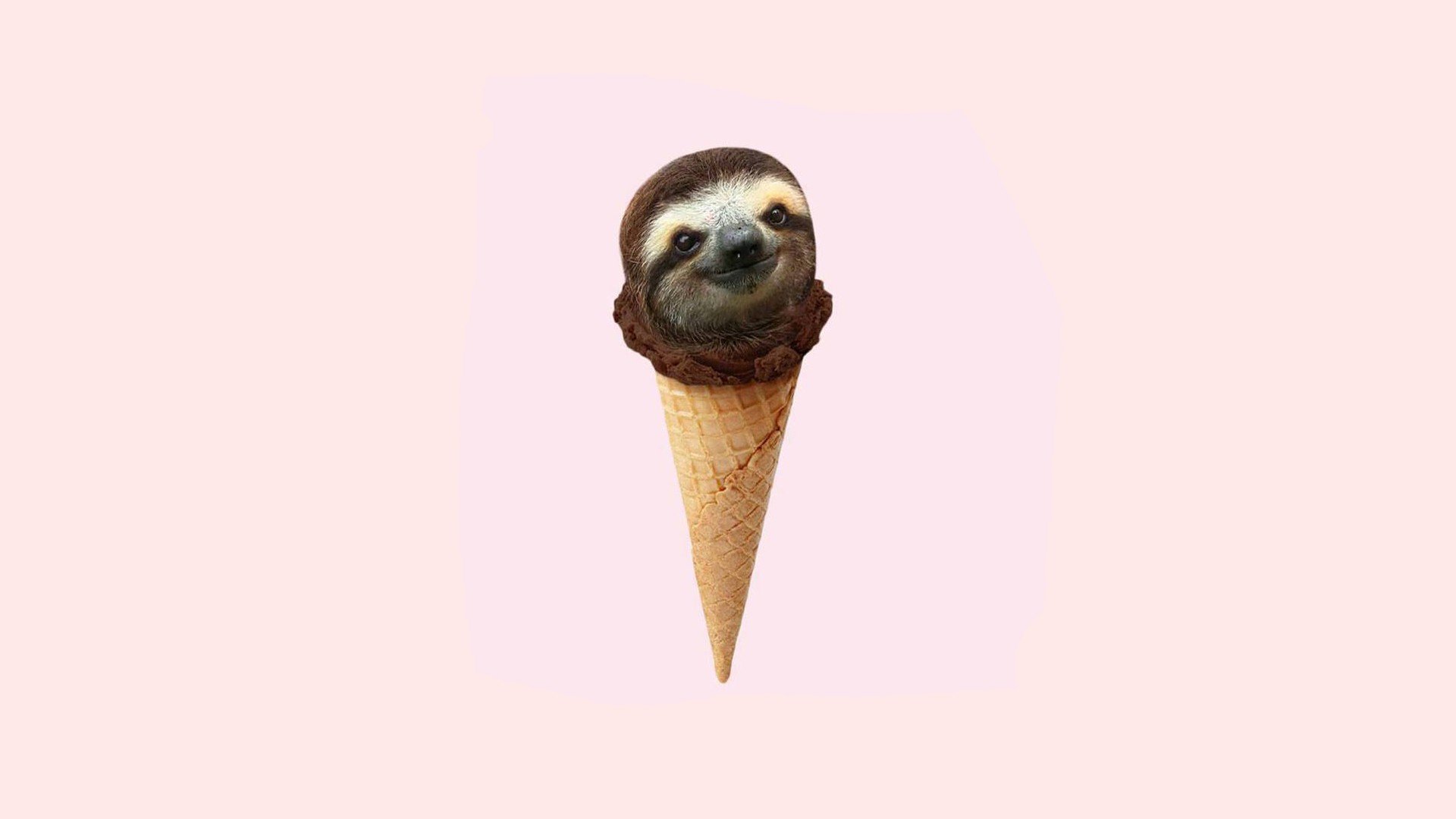 simple background, Ice cream, Minimalism, Chocolate, Sloths, Humor Wallpaper