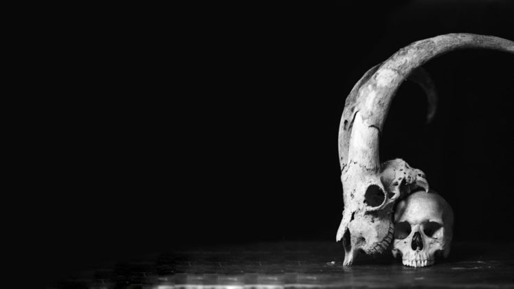 skull, Black, White, Horns, Monochrome HD Wallpaper Desktop Background