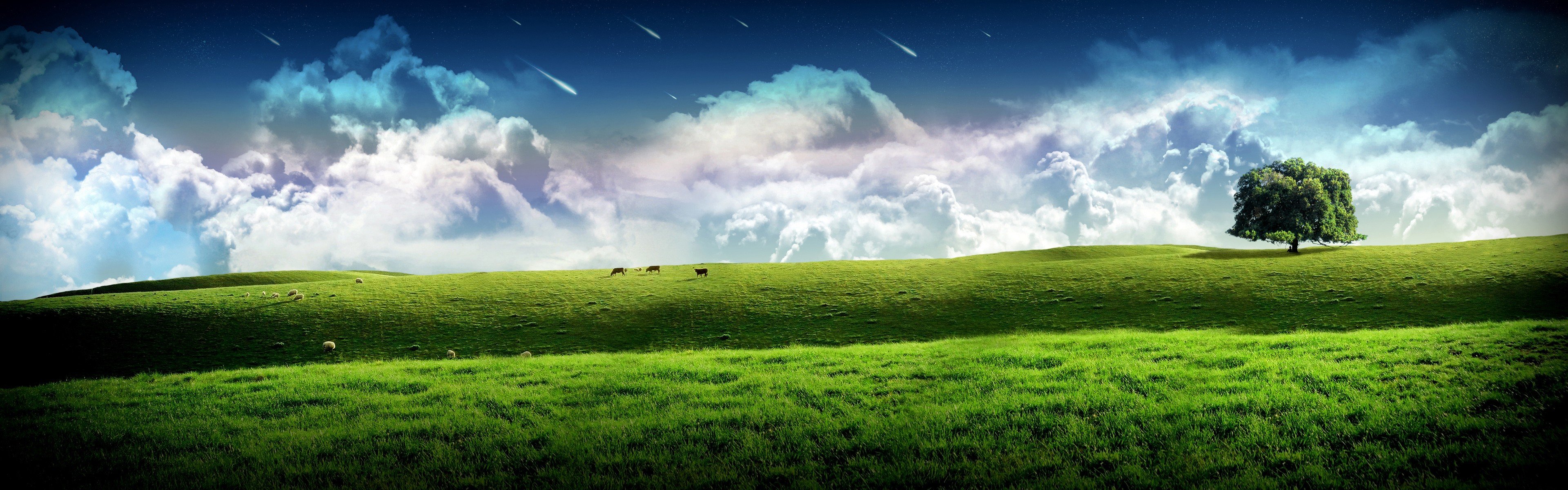 clouds, Grass, Hills, Cow, Panorama Wallpaper