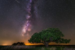 stars, Space, Galaxy, Trees, Milky Way, Grass