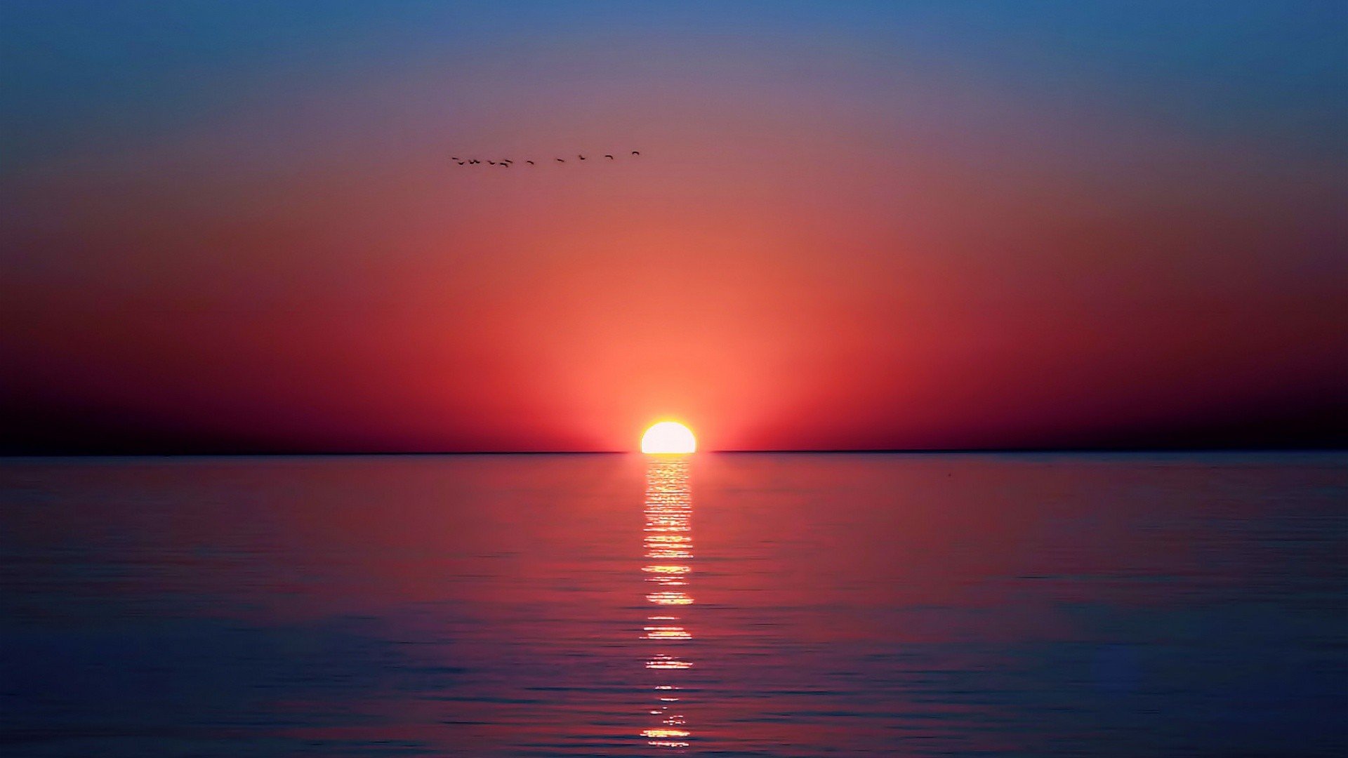 sunset, Sea, Horizon, Photography Wallpaper
