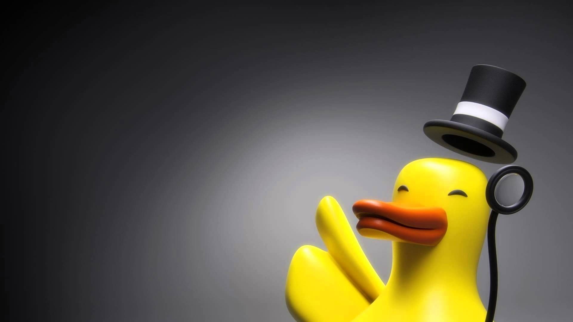 duck, Top hat Wallpaper