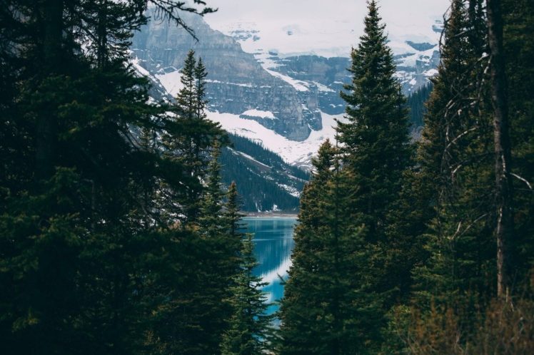 water, Landscape, Forest, Nature HD Wallpaper Desktop Background