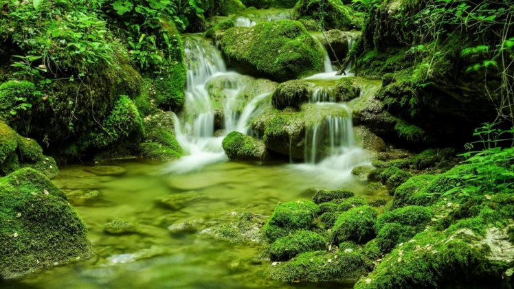 Forest River Hd Wallpapers Desktop And Mobile Images And Photos