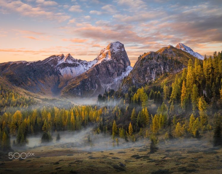 forest, Landscape, Mountains, Nature, Mist, Trees, Clouds, Snowy peak HD Wallpaper Desktop Background
