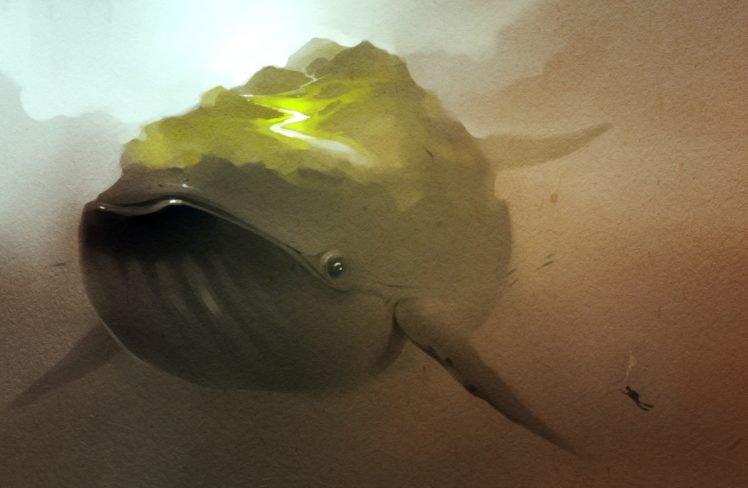 fantasy art, Whale HD Wallpaper Desktop Background