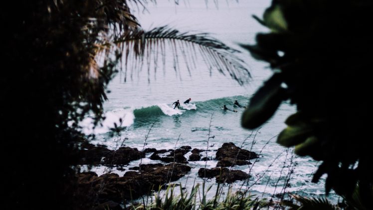surfers, Nature, Water, Trees HD Wallpaper Desktop Background