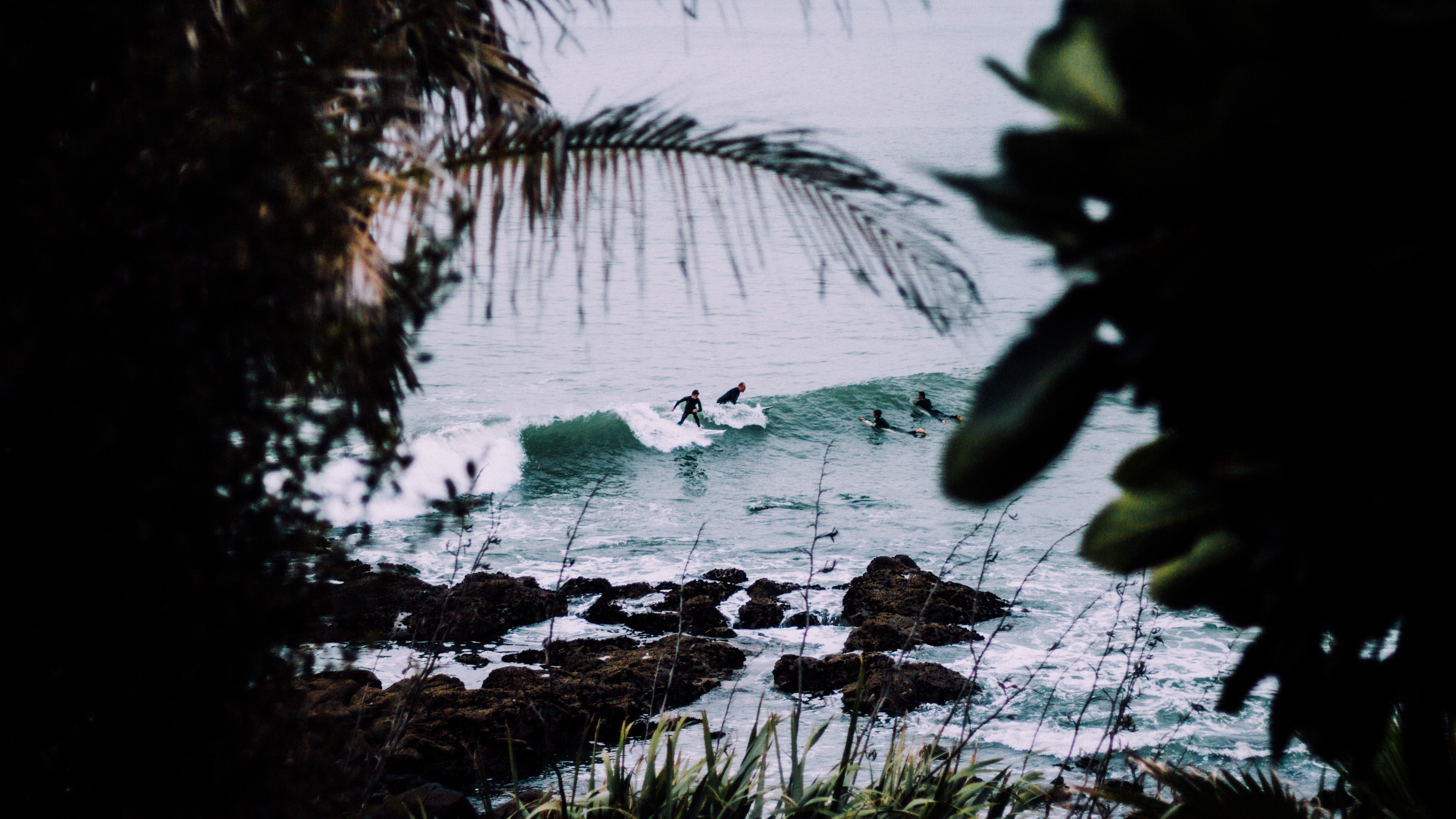 surfers, Nature, Water, Trees Wallpaper