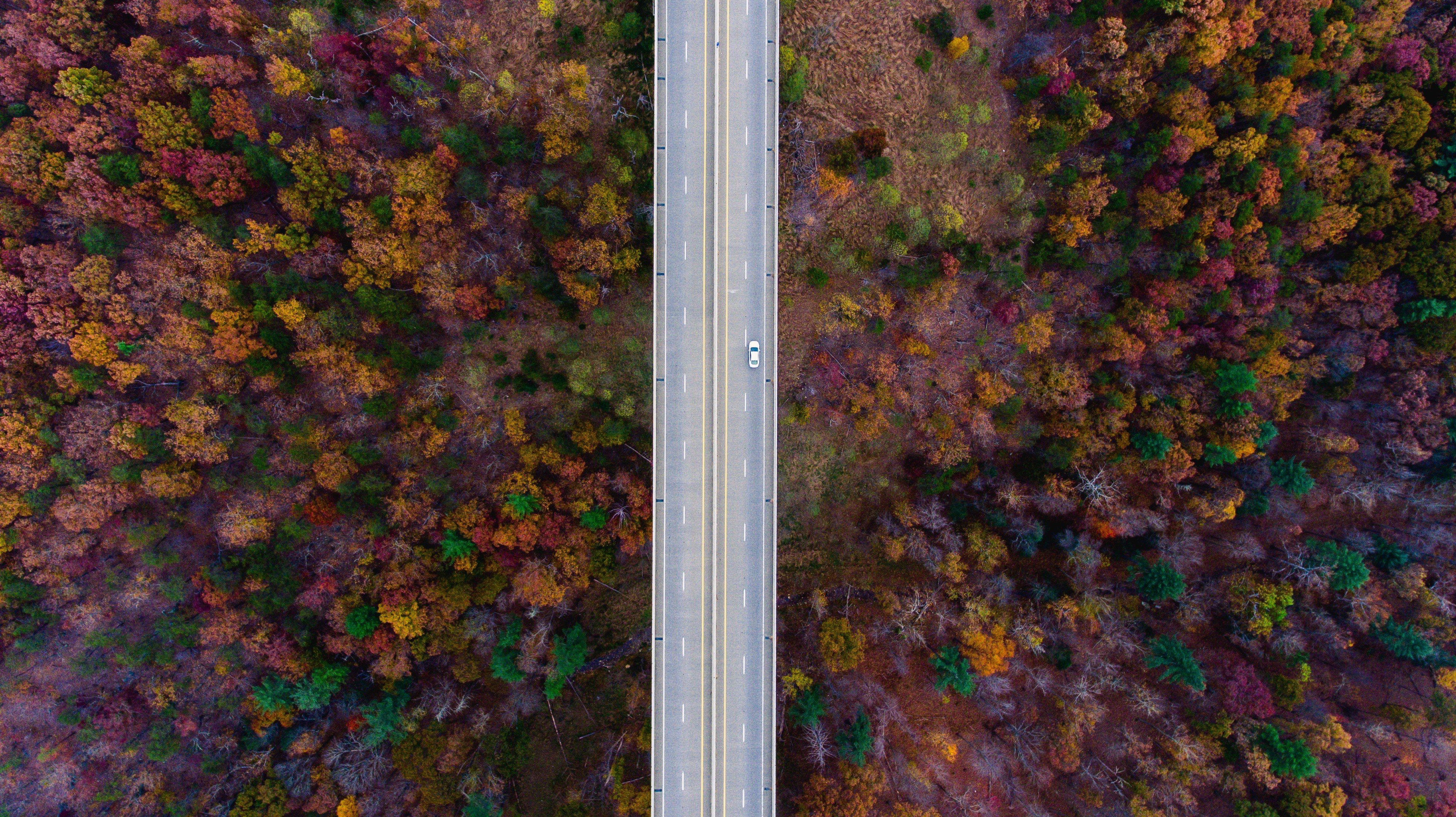 nature, Road, Trees, Fall, Car Wallpaper