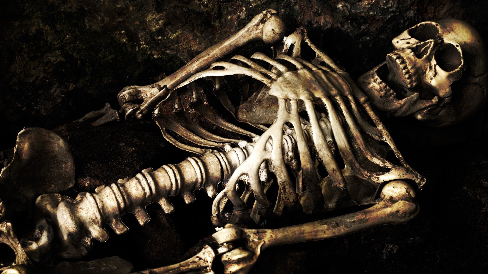 skeleton, Bones, Skull Wallpaper