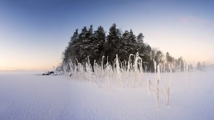winter, Snow, Nature, Landscape, Trees HD Wallpaper Desktop Background