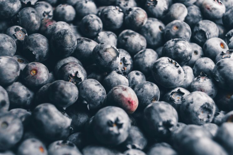 nature, Fruit, Blueberries HD Wallpaper Desktop Background