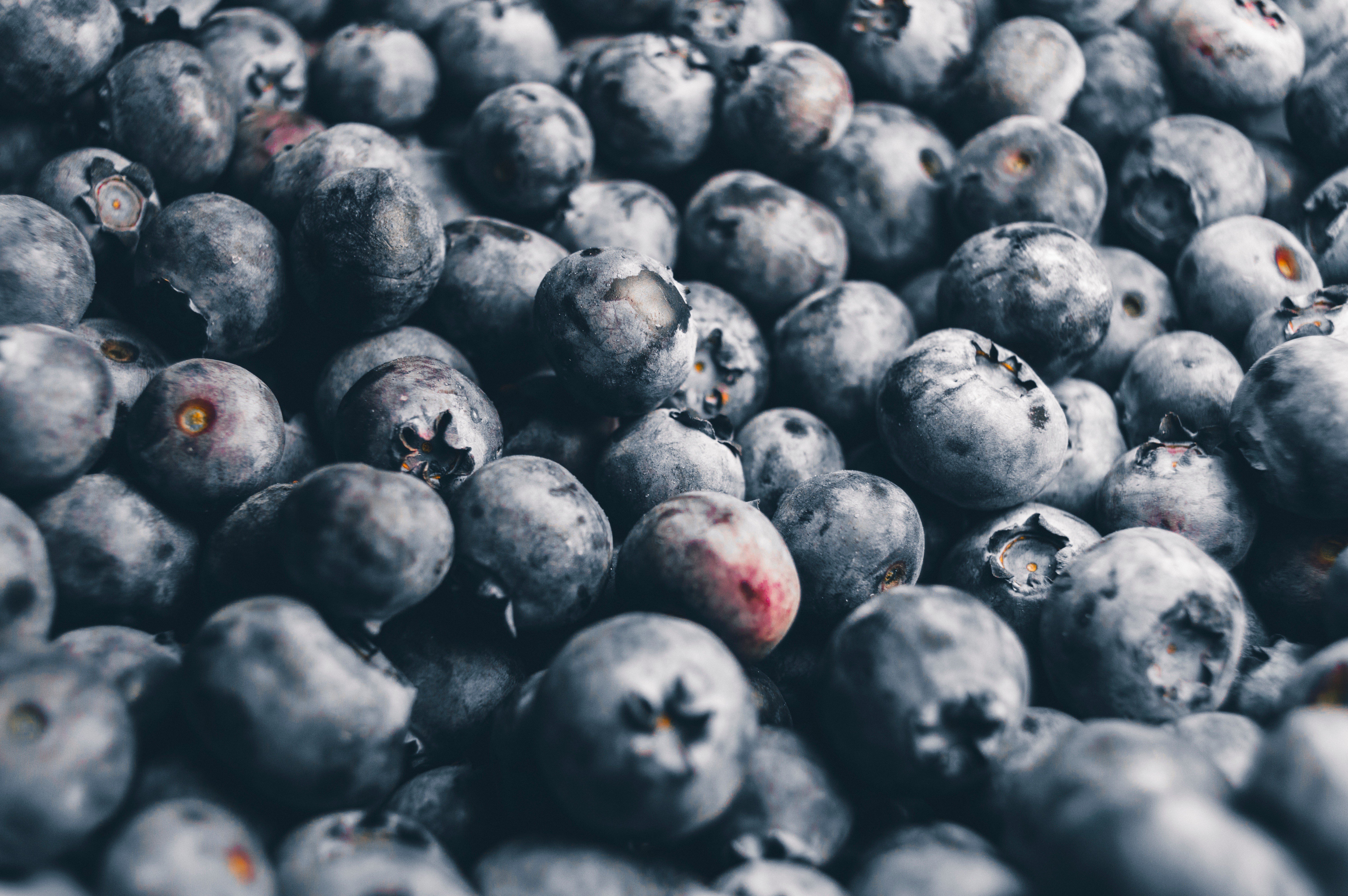 nature, Fruit, Blueberries Wallpaper