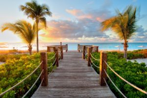 sunset, Path, Island, Beach, Palm trees