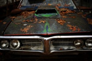 car, Vehicle, Pontiac, Leaves, Vehicle front