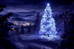 Christmas, Snow, Pine trees