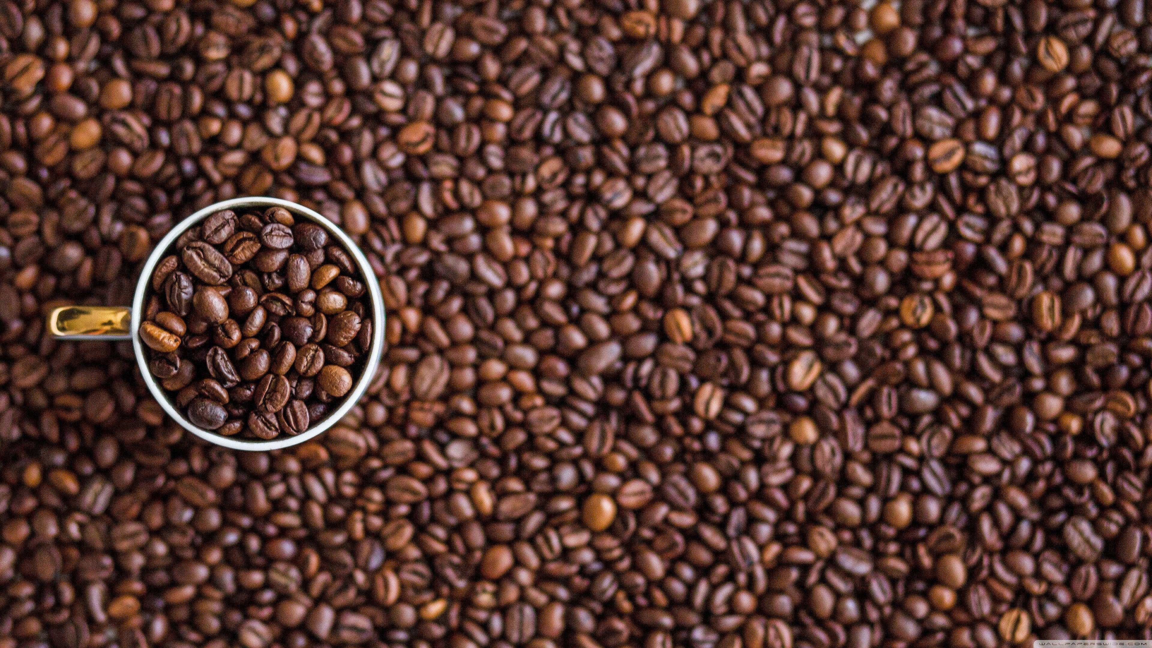 coffee, Macro, Cup, Closeup, Blurred Wallpaper