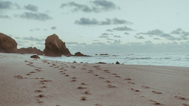 beach, Sand, Footprints, Rock HD Wallpaper Desktop Background