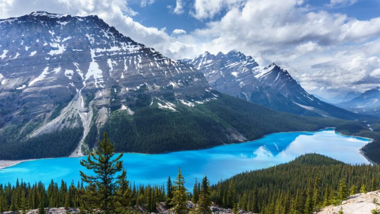 lake, Mountains, Trees, Sky, Canada, Peyto Lake, Banff National Park, Blue HD Wallpaper Desktop Background