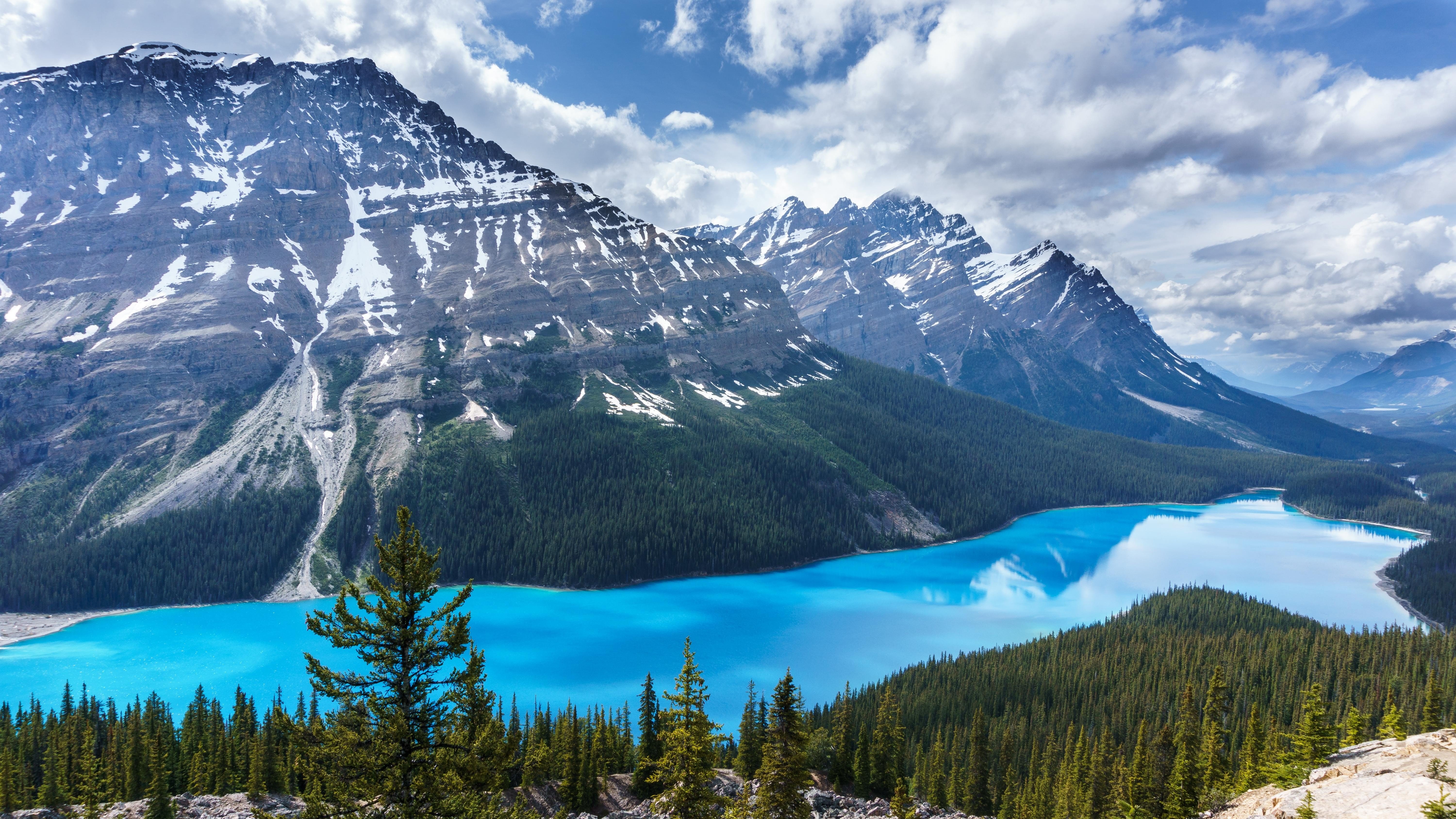 lake, Mountains, Trees, Sky, Canada, Peyto Lake, Banff National Park, Blue Wallpaper