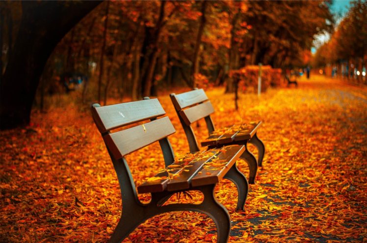 bench, Fall, Leaves HD Wallpaper Desktop Background