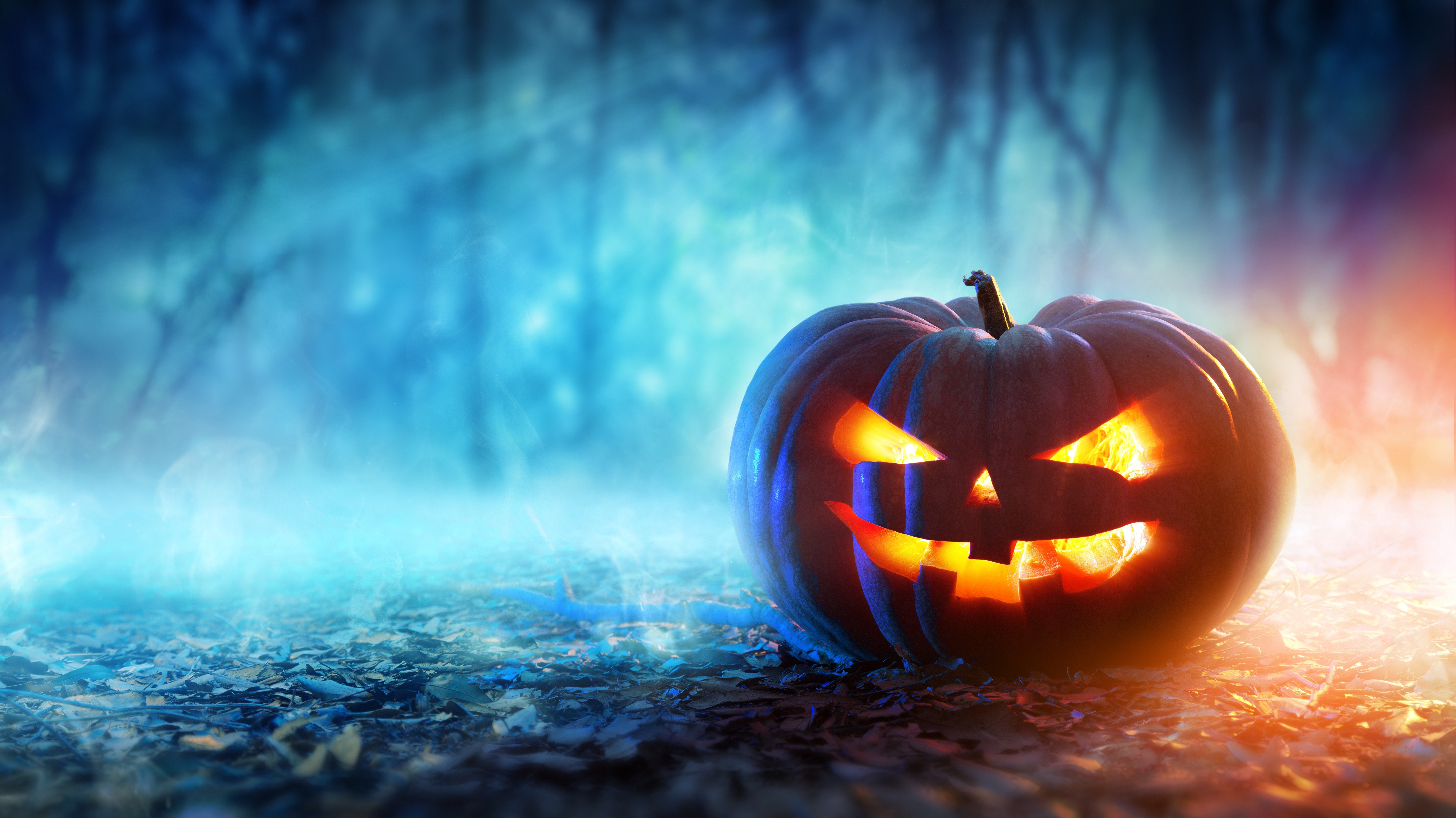pumpkin, Halloween, Depth of field, Digital art Wallpaper