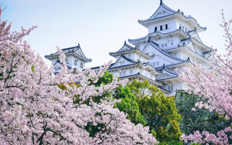 castle, Asian architecture, Cherry blossom, Landscape, Himeji Castle HD Wallpaper Desktop Background