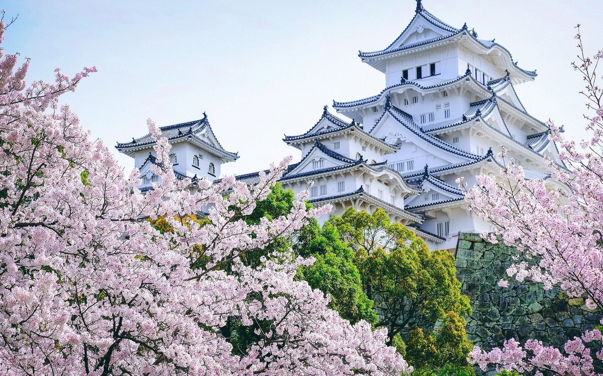 castle, Asian architecture, Cherry blossom, Landscape, Himeji Castle Wallpaper