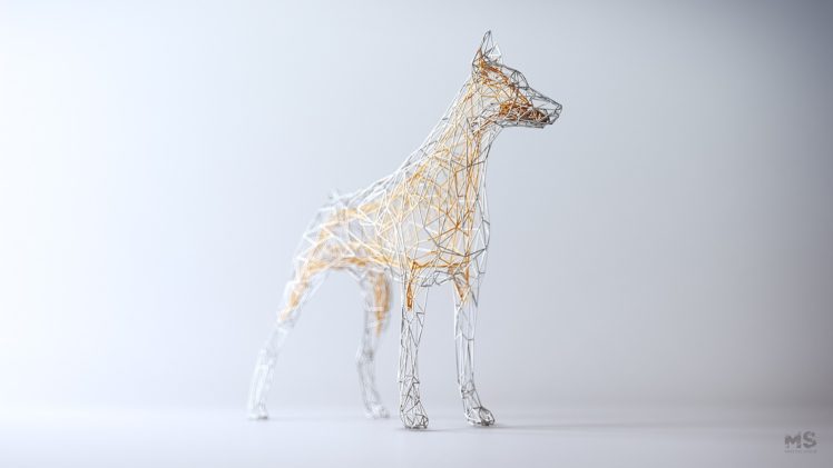 Mateusz Szulik, Simple background, Digital art, Animals, Dog, CGI, Artwork, Wire, White background HD Wallpaper Desktop Background