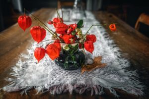 flowers, Table, Plants, Physalis