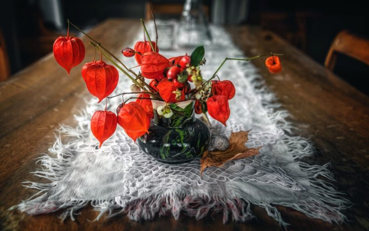 flowers, Table, Plants, Physalis HD Wallpaper Desktop Background