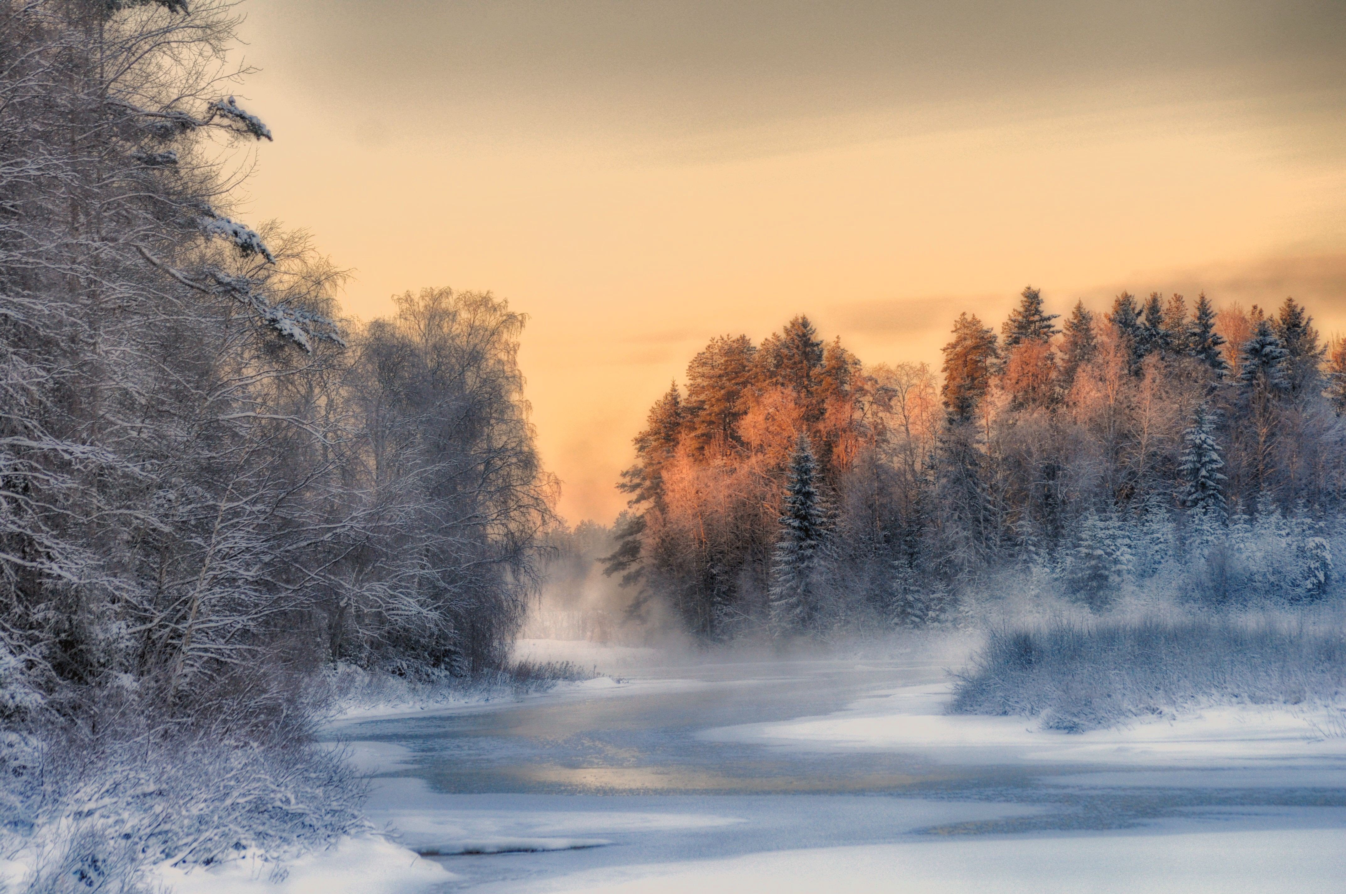 Nature Landscape Snow Trees Wallpapers Hd Desktop And Mobile Images