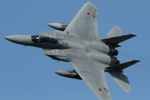 Mitsubishi F 15J, Japan Air Self Defense Force