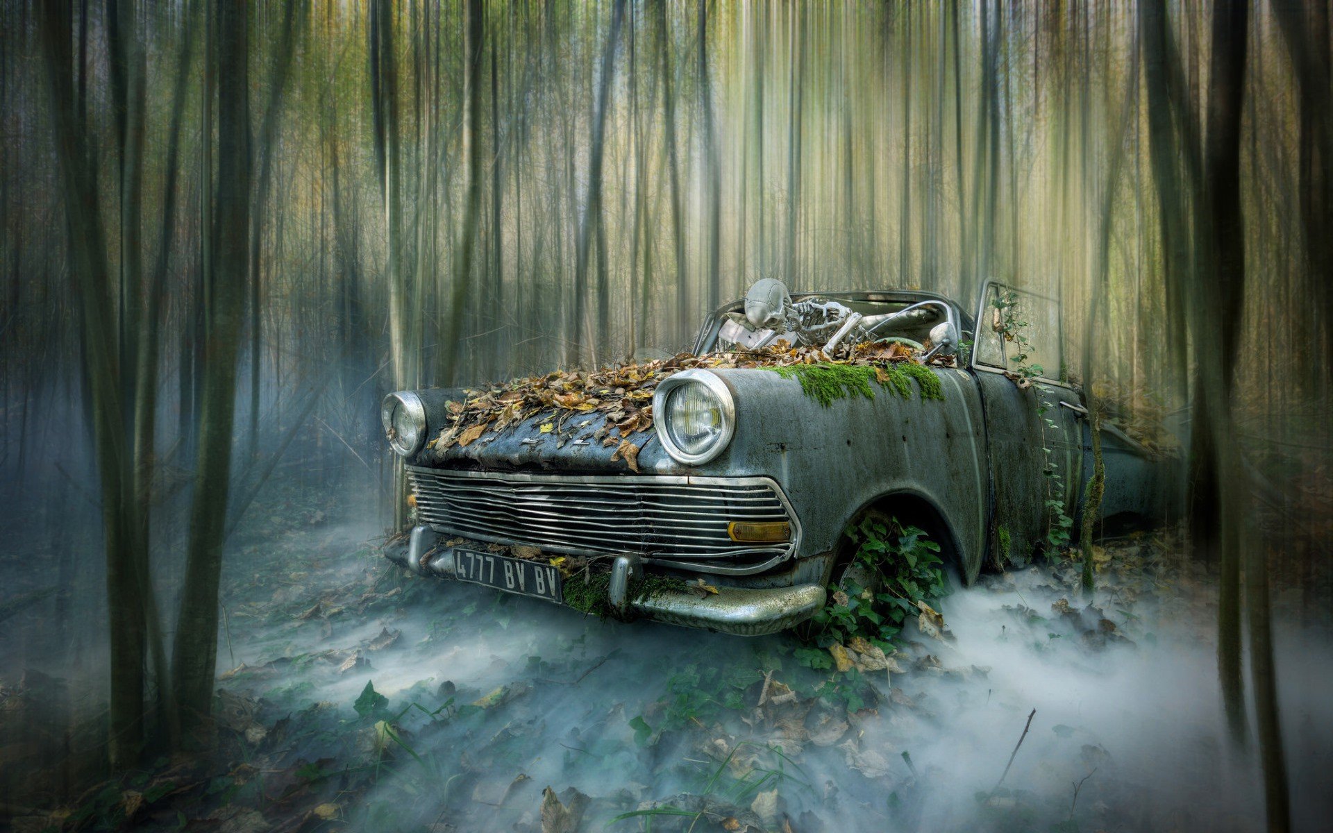 car, Wreck, Vehicle, Skeleton Wallpaper