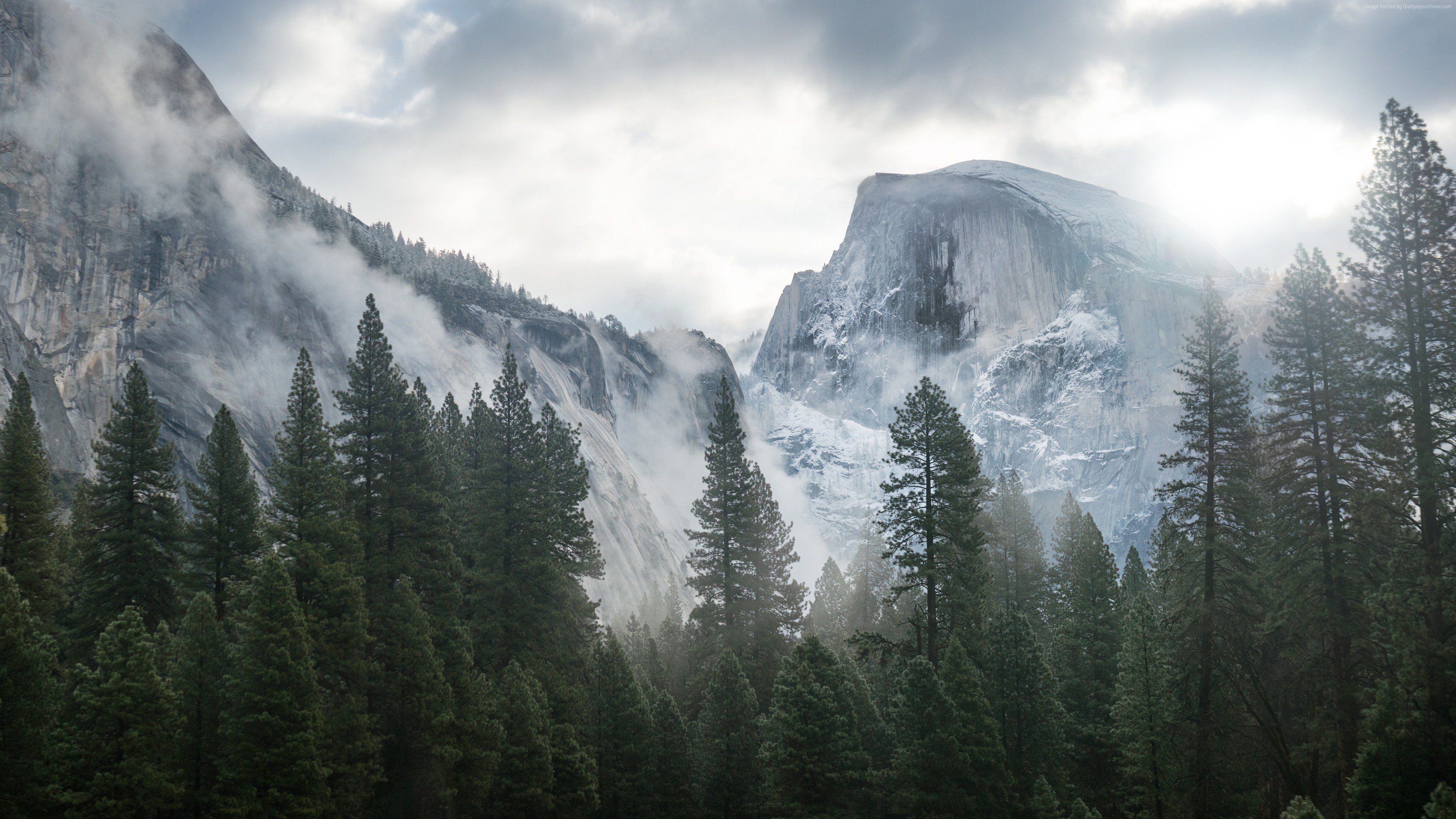 Yosemite National Park, Forest, Mountains, Clouds, Landscape, Nature Wallpaper