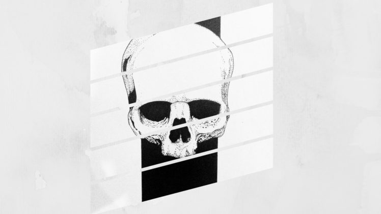skull and bones, Skull HD Wallpaper Desktop Background