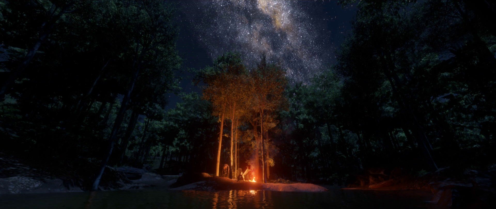 Rockstar Games, Red Dead Redemption 2, Forest, In game, Star trails, Night  sky, Campfire, Stars HD Wallpapers / Desktop and Mobile Images & Photos