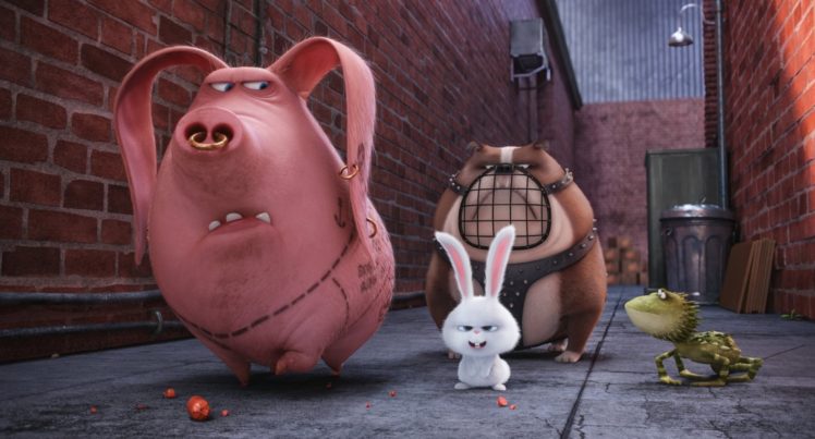 The Life of Pets (Movie), CGI, Rabbits, Pigs, Dog HD Wallpaper Desktop Background