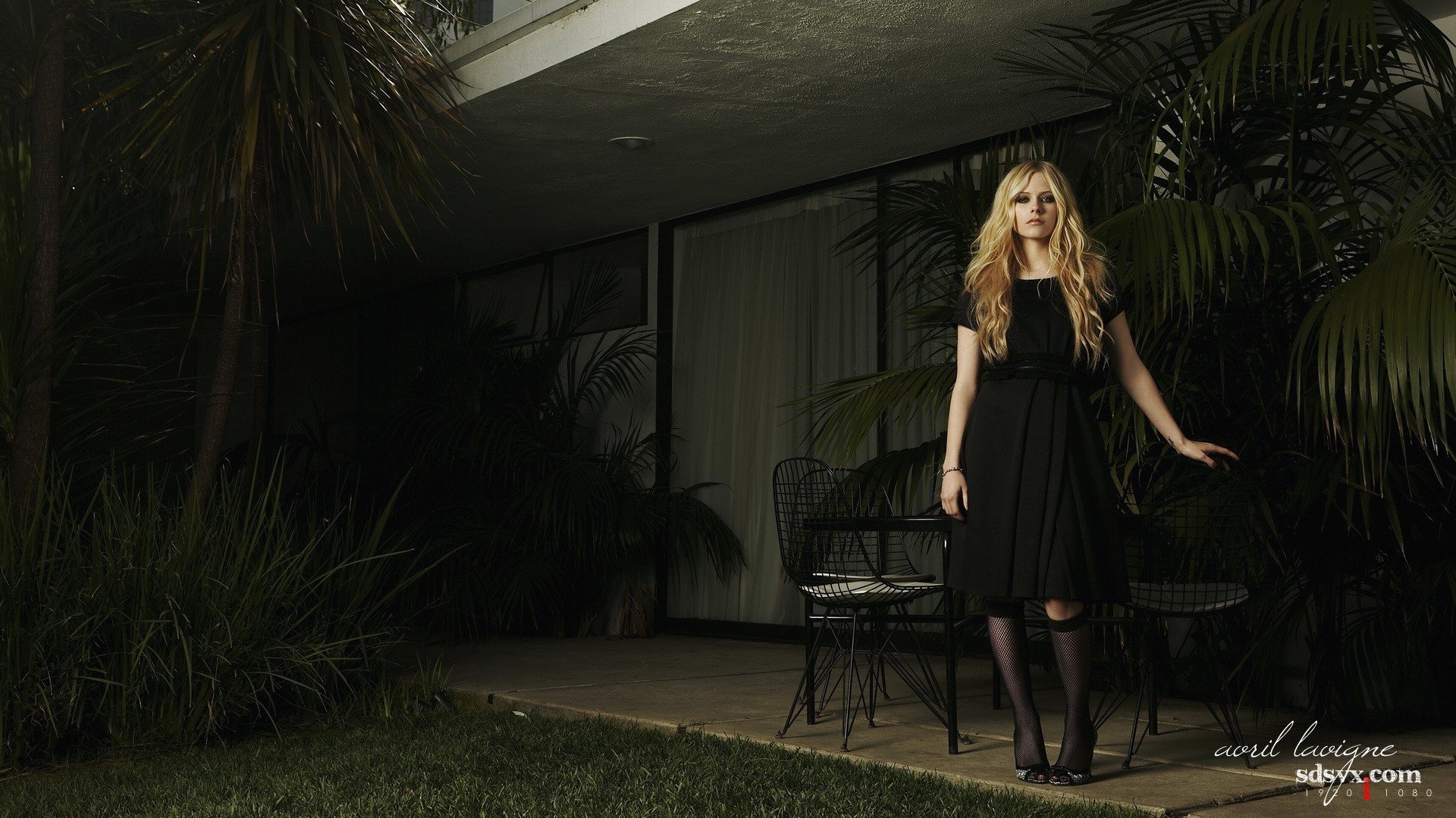 celebrity, Avril Lavigne, Palm trees, Singer, Blonde, Black dress Wallpaper