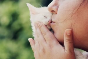 women, Cat, Kittens, Kissing, Animals, Baby animals