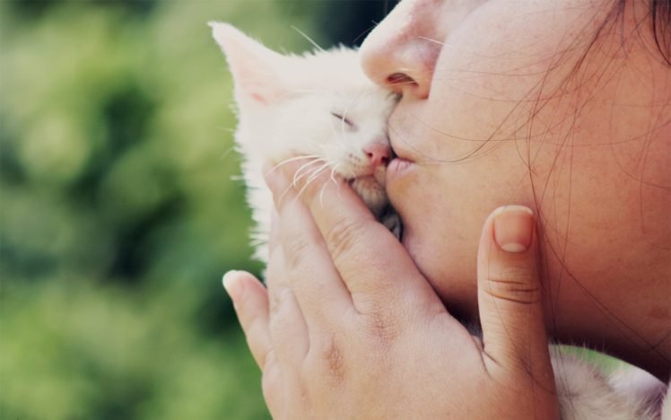 women, Cat, Kittens, Kissing, Animals, Baby animals HD Wallpaper Desktop Background
