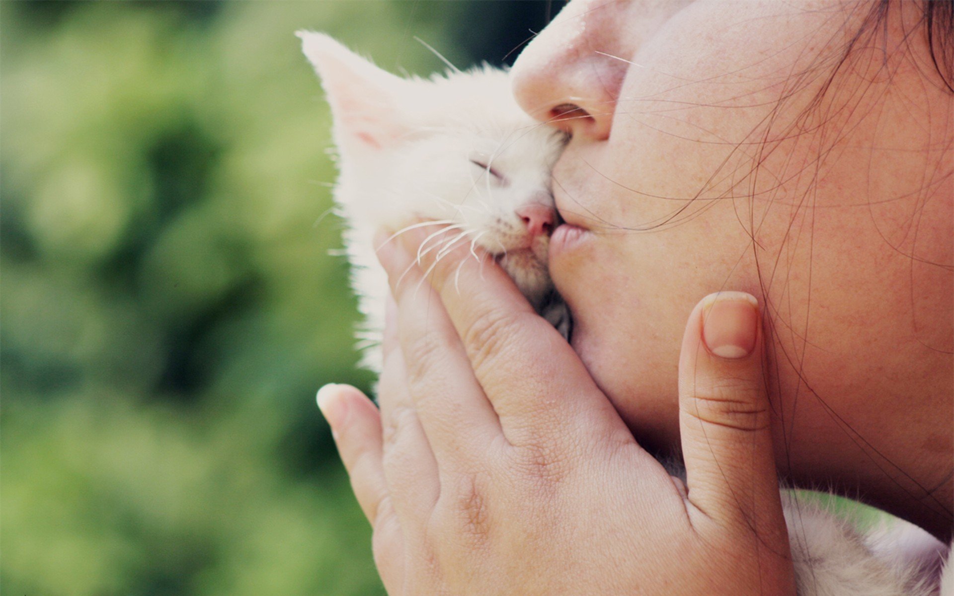 women, Cat, Kittens, Kissing, Animals, Baby animals Wallpaper
