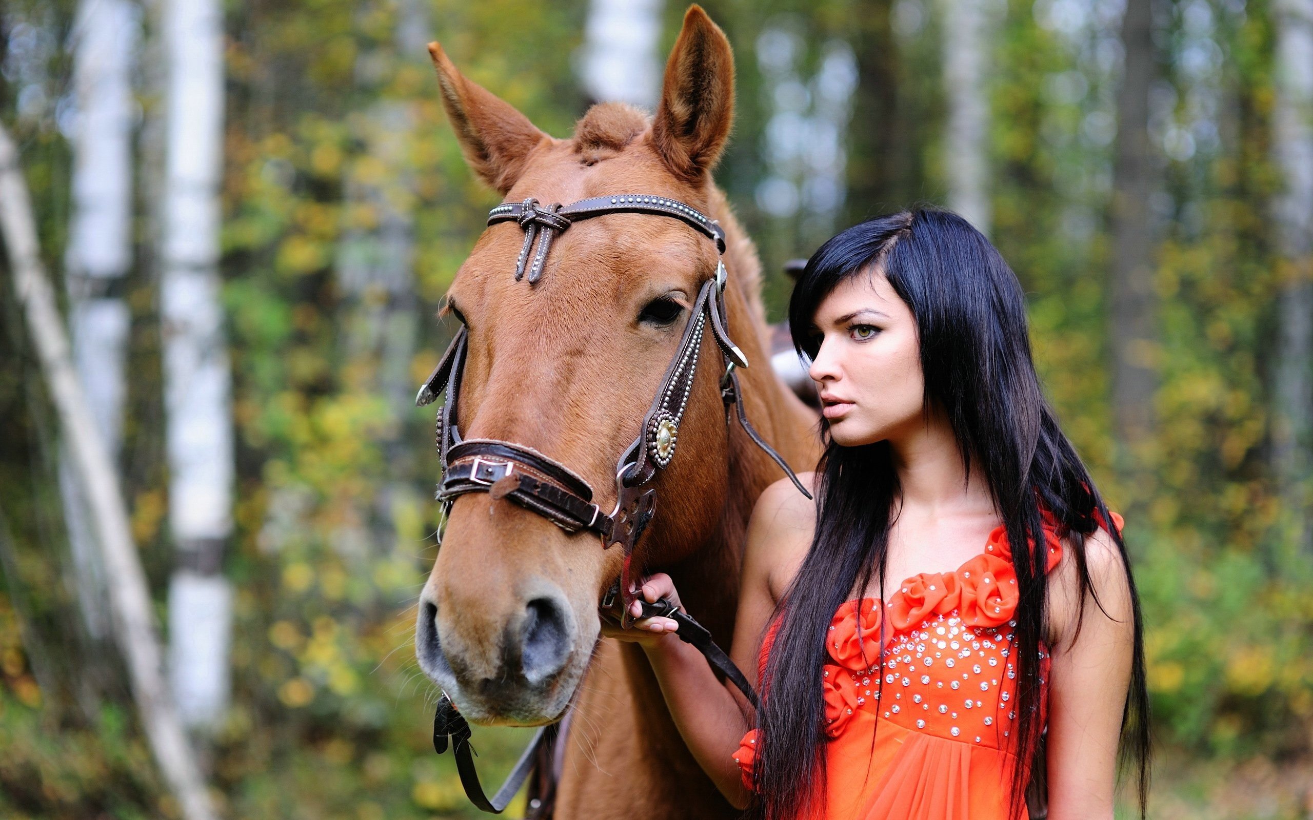 women, Brunette, Horse, Animals, Long hair, Dark hair Wallpaper