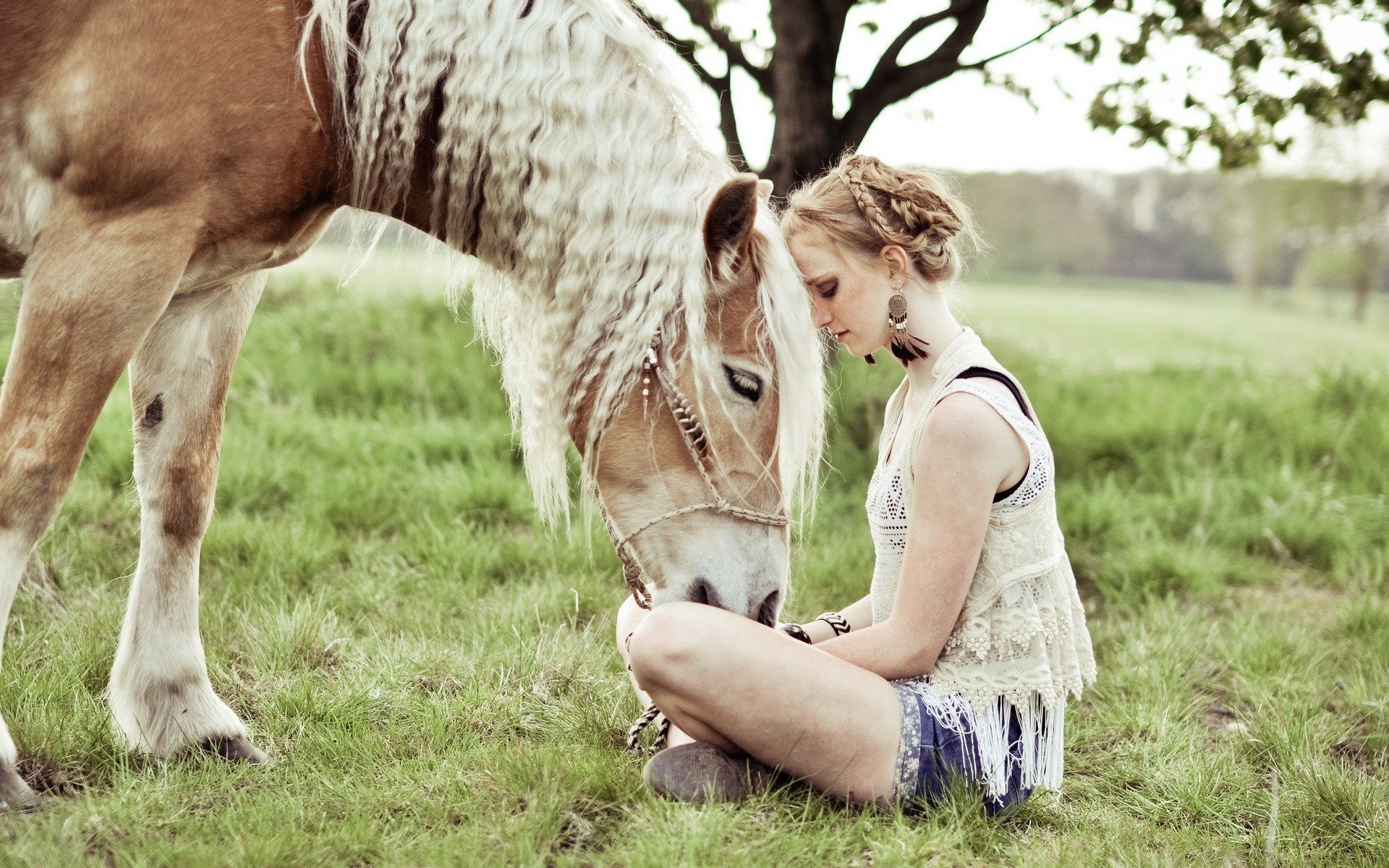 women, Blonde, Horse, Animals, Women outdoors, Braids, Shorts, Jean shorts, Tank top, Bracelets, Earrings, Legs  crossed Wallpaper